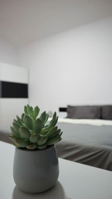 Modern Apartment In The Center Of Prag Dış mekan fotoğraf